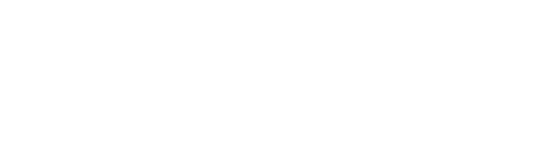 Logo Dimensy